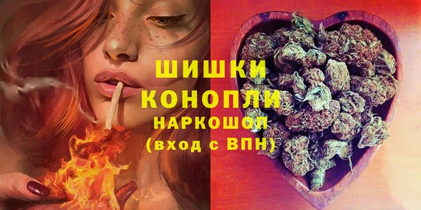 ГАЛЛЮЦИНОГЕННЫЕ ГРИБЫ Лихославль