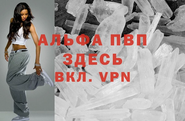 ГАЛЛЮЦИНОГЕННЫЕ ГРИБЫ Лихославль