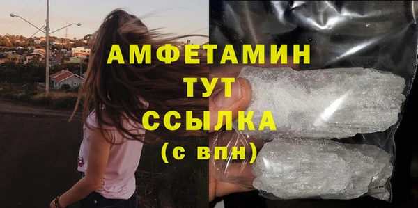 прущие грибы Магадан