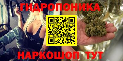 соль ск Аргун