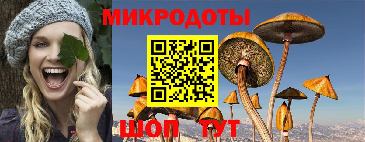 Псилоцибиновые грибы мухоморы Чайковский