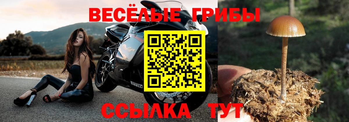 даркнет сайт  Галлюциногенные грибы мухоморы  Вход с VPN  Чайковский 