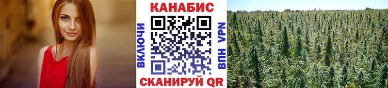 блэк спрут tor  Чайковский  Канабис White Widow  магазин  наркотиков 